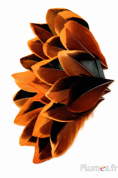 Petali in piume - 5-8 cm x 3-4 cm - azteco dorato-nero